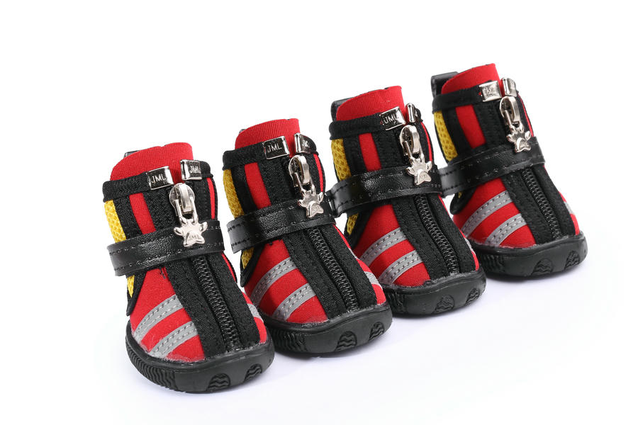 doggie shoes for summer